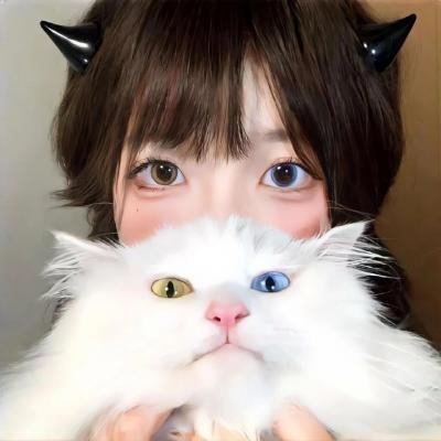生活与贝斯